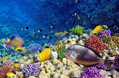 Hurghada Day Tours
